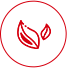 redteaatnoon午后红茶